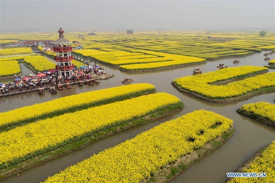 #CHINA-JIANGSU-COLE FLOWER-SCENERY-TOURISM (CN)