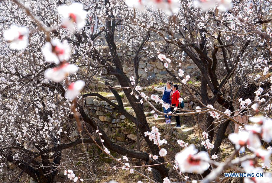 CHINA-HEBEI-HANDAN-SPRING SCENERY (CN)