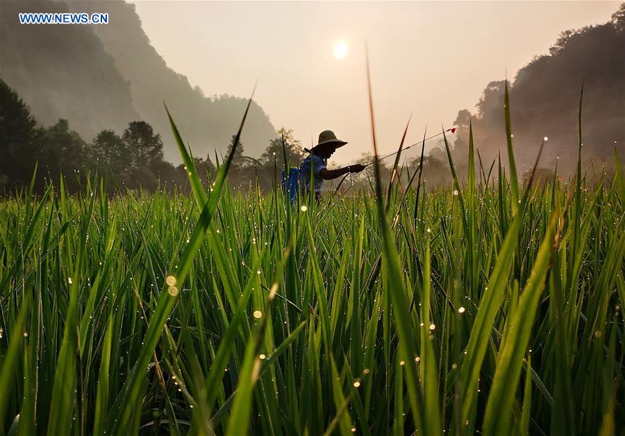 XINHUA PHOTO WEEKLY CHOICES