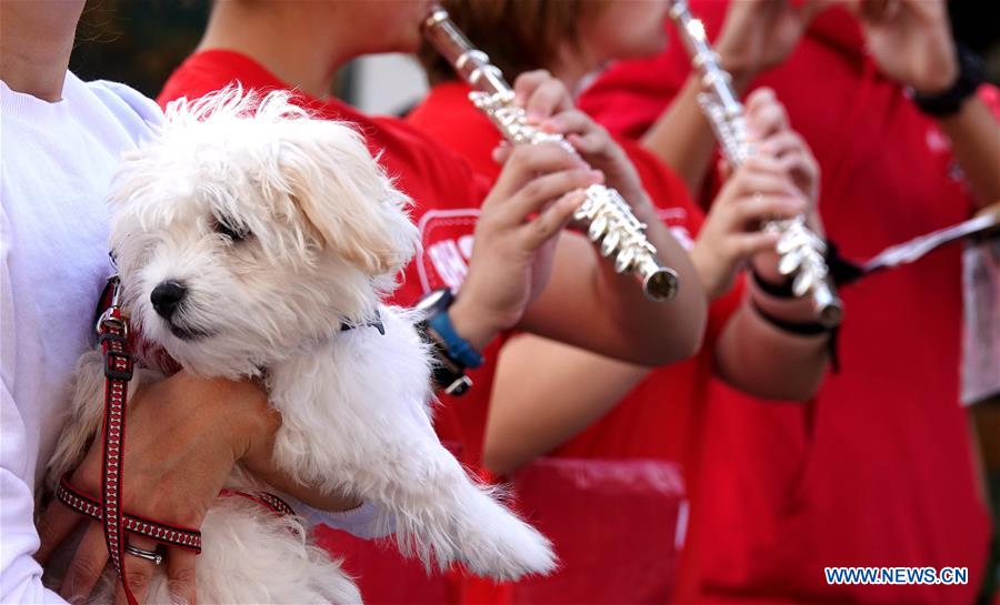 U.S.-CALIFORNIA-BURLINGAME-PET DOG-PARADE