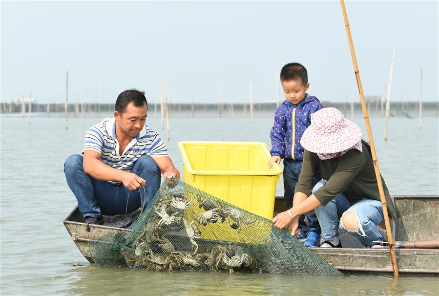 CHINA-ZHEJIANG-CRABS-HARVEST (CN)