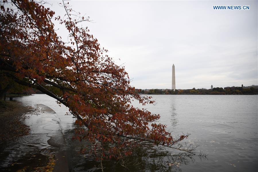 U.S.-WASHINGTON D.C.-TIDAL BASIN-AUTUMN