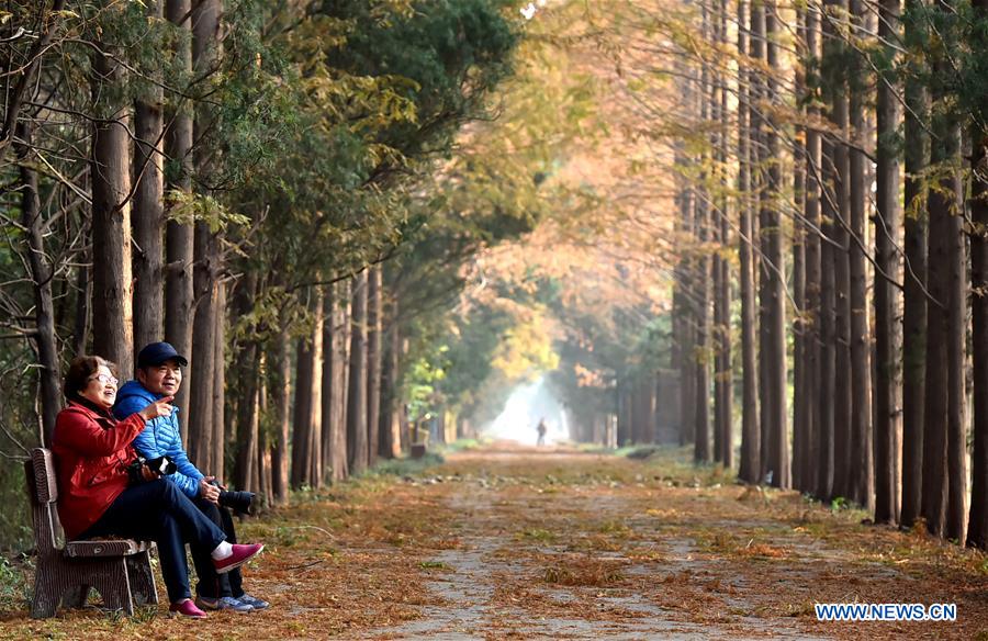 #CHINA-EARLY WINTER-SCENERY (CN)