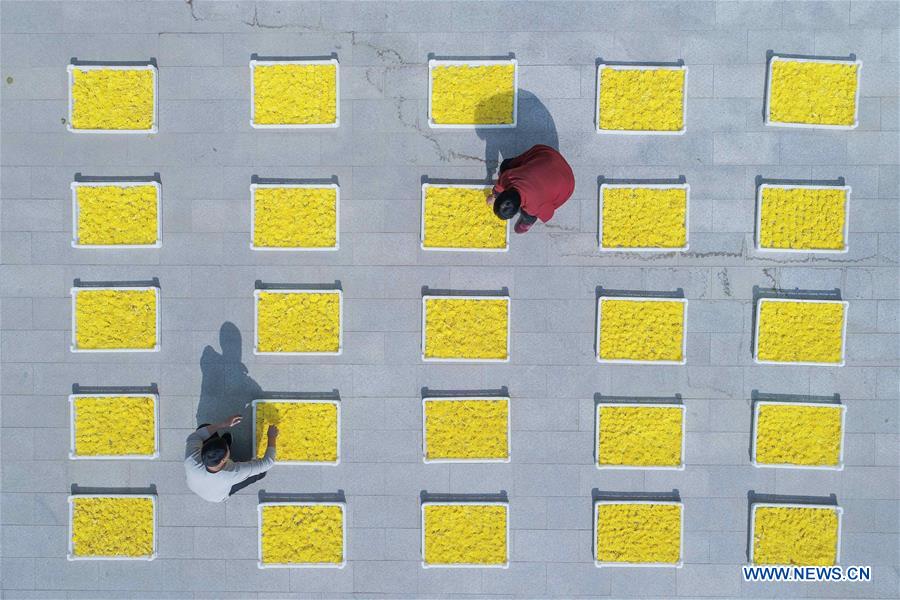 CHINA-COLOR-DRONE PHOTOS OF THE YEAR (CN)